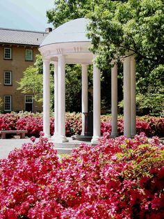 2bdc25d83a8ae13745a534b9546088a8--carolina-girls-carolina-blue